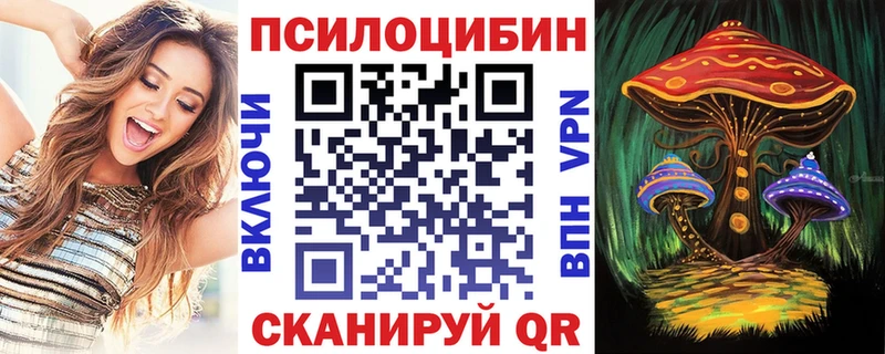 Псилоцибиновые грибы Psilocybine cubensis  Чапаевск 